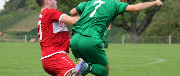 TB Neckarhausen I vs. TSV Linsenhofen II